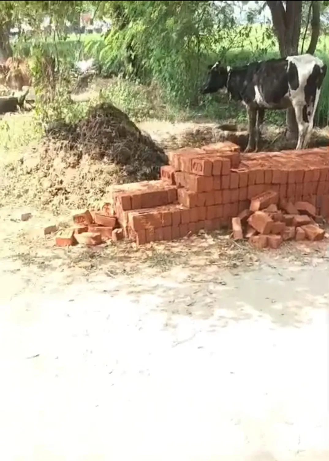 विद्यालय निर्माण में घटिया सामग्री के इस्तेमाल का आरोप, जांच की मांग