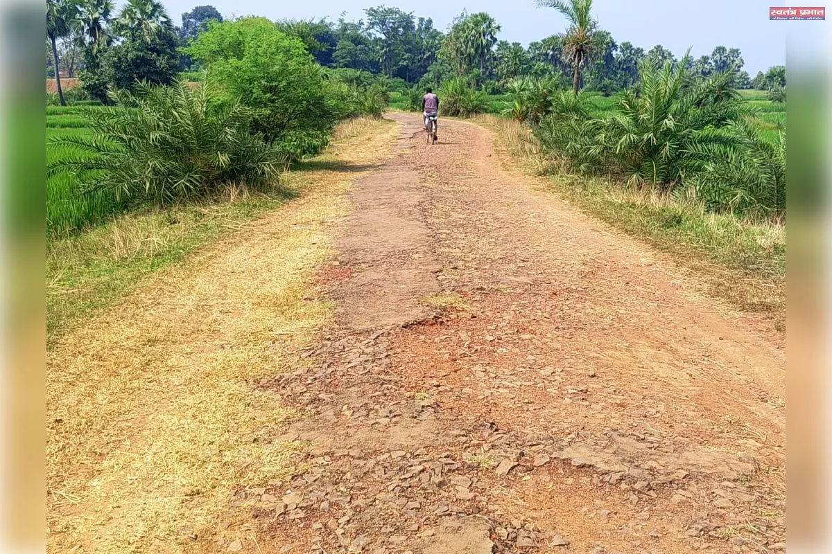 वर्षों से जर्जर चीरुडीह-रसिया टोला सड़क की सुध नहीं, ग्रामीणों में आक्रोश