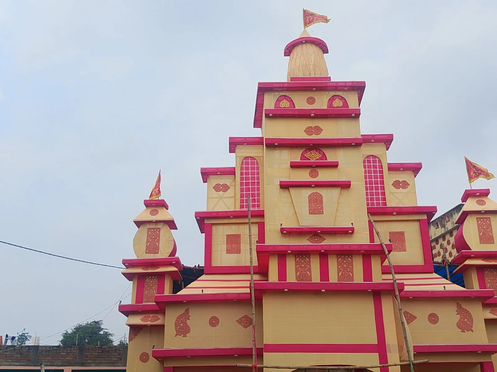कास के खिले फूल दे रहे मां के आगमन का संदेश, दुर्गा पूजा को लेकर पाकुड़िया में उमंग