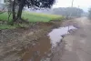 ग्राम सभा सलेथू जाने वाली लगभग ढाई किलोमीटर सड़क अपनी बदहाली पर बहा रही आंसू 