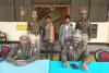 कोन पुलिस को मिली बड़ी सफलता,  जनपदीय स्तर के  02  पशु तस्कर गिरफ्तार,  भेजा न्यायालय