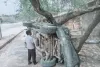 ओबरा-चोपन मार्ग पर स्कॉर्पियो पलटी, मालिक का लड़का सुरक्षित
