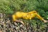 समस्तीपुर में रेलवे ट्रैक के पास मिली अज्ञात महिला की सिर कटी लाश