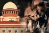 कुत्तों को शीर्ष अदालत ने दी नसबंदी की शर्त पर आजादी! 