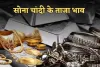 Gold Silver Price: सोना हुआ सस्ता, चांदी के भाव में आई तेजी, चेक करें लेटेस्ट रेट्स 