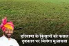 Haryana: हरियाणा के किसानों को फसल नुकसान पर मिलेगा मुआवजा, यहां करें आवेदन