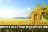 Haryana: हरियाणा में अब 22 सितंबर से शुरू होगी धान खरीद, राइस मिलर्स को बोनस और डिलीवरी में मिली राहत