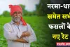 Mandi Bhav: नरमा-धान समेत सभी फसलों के नए रेट जारी, देखें आज के ताजा भाव