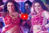 Amrapali Dubey Dance: भोजपुरी क्वीन आम्रपाली दुबे का डांस वीडियो हुआ वायरल, लाल साड़ी में मचाया धमाल