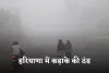 Haryana Weather: हरियाणा में कड़ाके की ठंड, मौसम विभाग ने ये अलर्ट किया जारी 
