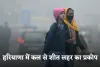 Haryana Weather: हरियाणा में कल से शीत लहर का प्रकोप, तापमान में फिर आएगी गिरावट