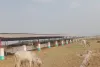 पचपेड़वा ब्लॉक की गौशालाओं में तड़प रहे गोवंश