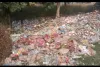 भरसी मोड़ पर सड़क किनारे गड्ढे में गिर रहा कचरा बना खतरा, दुर्गंध से परेशान लोग – जलजनित बीमारियों का बढ़ा जोखिम