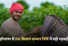 Haryana: हरियाणा में PM किसान सम्मान निधि में बड़ी गड़बड़ी, डुप्लीकेट लाभार्थियों के हजारों मामले उजागर