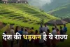 देश की धड़कन है ये राज्य, 8 राज्यों, 1 केंद्र शासित प्रदेश और नेपाल से घिरा एकमात्र स्टेट 