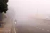 उत्तर भारत - कोहरे के कोहराम से फना होती जिन्दगी ! 