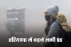 Haryana Weather: हरियाणा में बढ़ने लगी ठंड, सुबह-शाम ठिठुरन और घना कोहरा