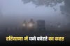 Haryana: हरियाणा में घने कोहरे का कहर, विजिबिलिटी 5 मीटर तक गिरी