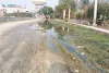 नाले की निकासी न होने से सड़क पर बह रहा गंदा पानी 