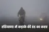 Haryana Weather: हरियाणा में कड़ाके की ठंड का कहर, शीतलहर का अलर्ट हुआ जारी 