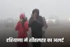 Haryana Weather: हरियाणा में शीतलहर का अलर्ट, सरकार ने जारी की बचाव एडवाइजरी