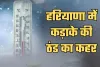 Haryana Weather: हरियाणा में कड़ाके की ठंड का कहर, इस दिन से बदलेगा मौसम