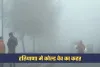 Haryana Weather: हरियाणा में कोल्ड वेव का कहर, दिन में भी रात जैसी ठंड
