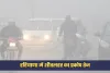 Haryana Weather: हरियाणा में शीतलहर का प्रकोप तेज, 17 जिलों में कोल्ड वेव अलर्ट
