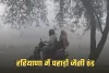 Haryana Weather: हरियाणा में पहाड़ों जैसी ठंड, 13 जिलों में ऑरेंज अलर्ट