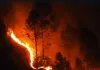 उत्तराखंड के जंगलों में पिछले 24 घंटों की धधकती आग नियंत्रण में 