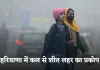 Haryana Weather: हरियाणा में कल से शीत लहर का प्रकोप, तापमान में फिर आएगी गिरावट