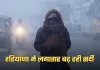 Haryana Weather: हरियाणा में लगातार बढ़ रही सर्दी, आज से दिखेगा मौसम में बदलाव 