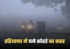 Haryana: हरियाणा में घने कोहरे का कहर, विजिबिलिटी 5 मीटर तक गिरी