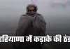 Haryana Weather: हरियाणा में कड़ाके की ठंड, घने कोहरे के कारण जीरो  विजिबिलिटी 