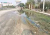 नाले की निकासी न होने से सड़क पर बह रहा गंदा पानी 