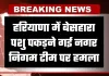 Haryana: हरियाणा में बेसहारा पशु पकड़ने गई नगर निगम टीम पर हमला, जानें पूरा मामला 