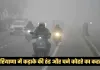 Haryana Weather: हरियाणा में कड़ाके की ठंड और घने कोहरे का कहर, जानें अगले 3 दिन कैसा रहेगा मौसम 