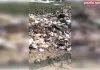 आबादी के बीच डंप हो रहा कूड़ा, लोग परेशान258