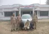 साइबर क्राइम पुलिस सोनभद्र ने सस्ते श्रृंगार की सामग्री बेचने के नाम पर ऑनलाइन धोखाधड़ी करने वाले 03 अभियुक्तों को किया गिरफ्तार