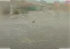 भीषण गर्मी के बीच कई इलाकों में गिरे बर्फ के छोटे-छोटे ओले, मौसम हुआ सुहाना
