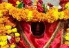 गड़बड़ा धाम में शीतला माता के दर्शन को उमड़ी श्रद्धालुओं की भीड़