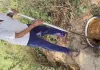 लहसुना थाना की बड़ी कार्रवाई, 2 हजार लीटर गुड़ जावा महुआ नष्ट