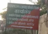 मरहा-करचौलिया में सागौन के पेड़ों की हुई थी अवैध कटान, 10 दिन बाद भी नहीं हुई कोई कार्रवाई