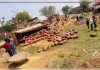 सिलेंडर लदा ट्रक पलटा चालक गंभीर रूप से घायल  342 सिलेंडर इंडियन के गैस गोदाम में ले जा रहा था ट्रक। 