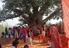 अखंड सौभाग्यवती, पति की लंबी आयु व उत्तम स्वास्थ्य को लेकर सनातनी महिलाओं ने वट सावित्री व्रत का किया पूजन
