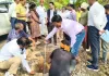जिलाधिकारी चर्चित गोंड ने किया विकास कार्यों का औचक निरीक्षण,  दिये गुणवत्ता व समयबद्धता पर  जोर