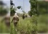महाराज पुर थाना क्षेत्र में तेंदुए के देखें जाने से ग्रामीणों में दहशत का माहौल
