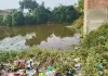 सोनहटी बुजुर्ग में पानी और जलकुंभी के बीच चल रहा मनरेगा कार्य प्रधान सचिन और वीडियो की मिले भगत से
