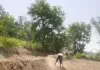 भ्रष्टाचार रोकने में मुख्य विकास अधिकारी नाकाम धरातल पर 10 मजदूर, कागजों में 61 की हाजिरी गोरखर में मनरेगा कार्य की खुली रही पोल