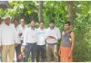 कुशीनगर: रेलवे लाइन में आने वाले पेड़ों का सर्वे पूरा, किसानों के मुआवजे की राह हुई आसान!